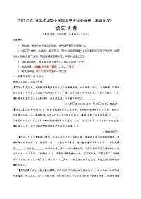 语文（湖南长沙A卷）——2022-2023学年语文七年级下册期中综合素质测评卷（含解析）