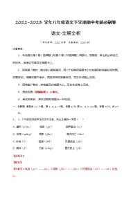 语文（上海B卷）——2022-2023学年语文八年级下册期中综合素质测评卷（含解析）