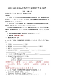 语文（广东专用B卷）——2022-2023学年语文八年级下册期中综合素质测评卷（含解析）