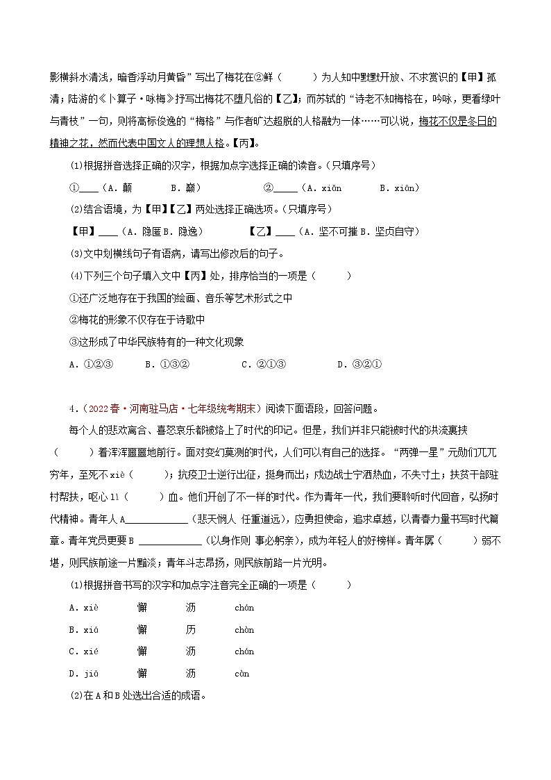 2022-2023年部编版语文七年级下册专项复习精讲精练：专题06：基础知识综合（原卷版）第2页