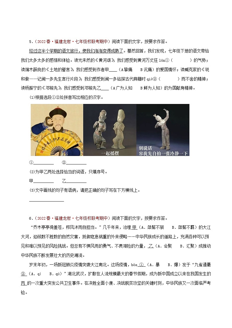 2022-2023年部编版语文七年级下册专项复习精讲精练：专题06：基础知识综合（原卷版）第3页