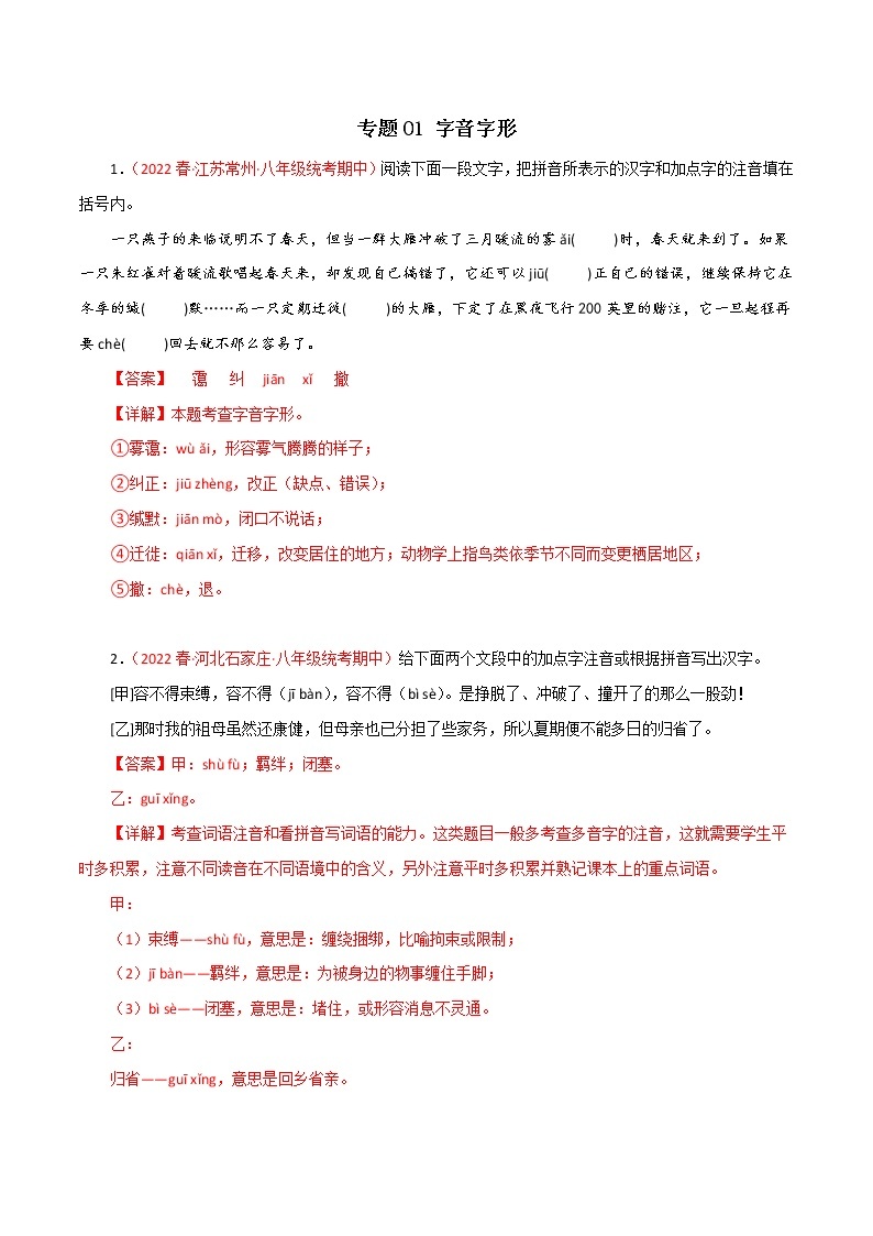 2022-2023年部编版语文八年级下册专项复习精讲精练：专题01：字音字形（原卷版+解析版）01