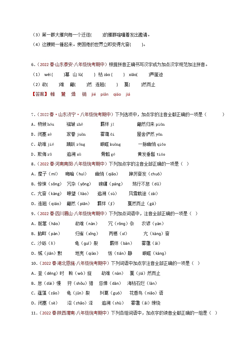 2022-2023年部编版语文八年级下册专项复习精讲精练：专题01：字音字形（原卷版+解析版）02