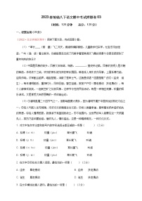 2023学年统编版语文八年级下册期中考试押题卷02(原卷版+解析版)