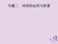 (通用版)中考语文一轮复习课件专题2词语的运用与积累 (含答案)