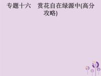 (通用版)中考语文一轮复习课件专题16赏花自在绿源中高分攻略第1节中考作文高分攻略解密一切题 (含答案)