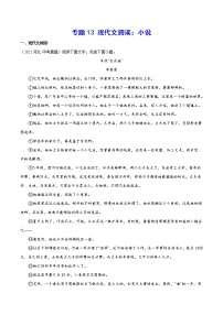2023年中考语文二轮复习基础考点专题13 现代文阅读：小说(教师版)
