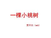 部编版七年级语文下册--19.一颗小桃树（课件1）