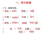 部编版七年级语文下册--19.一颗小桃树（课件1）
