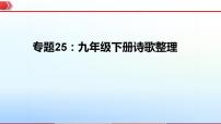 2023年中考语文一轮复习通关课件专题25：九年级下册诗歌整理 (含答案)