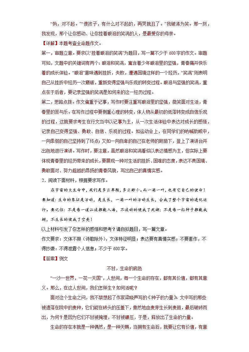 作文练习-2023年中考语文考前专项练习（吉林）（解析版）第2页