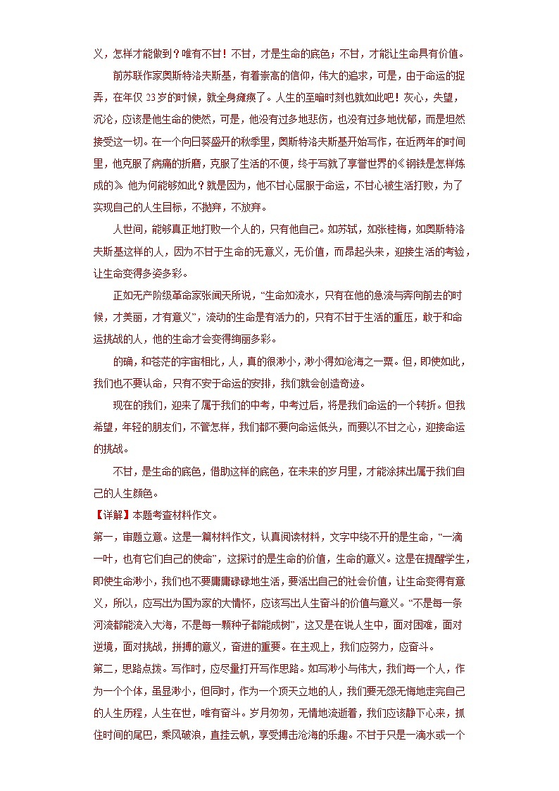 作文练习-2023年中考语文考前专项练习（吉林）（解析版）第3页