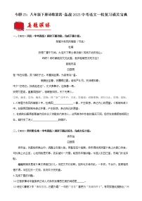 2023年中考语文一轮复习通关练习专题23：八年级下册诗歌鉴赏（教师版）