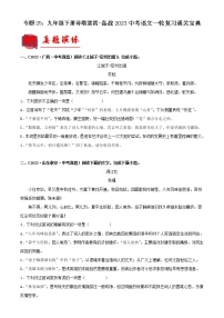 2023年中考语文一轮复习通关练习专题25：九年级下册诗歌鉴赏（教师版）