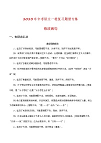 2023年中考语文一轮复习题型专练修改病句（教师版）