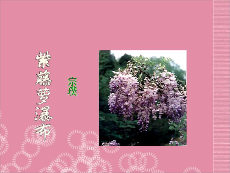 部编版七年级语文下册--18.紫藤萝瀑布（课件1）第1页