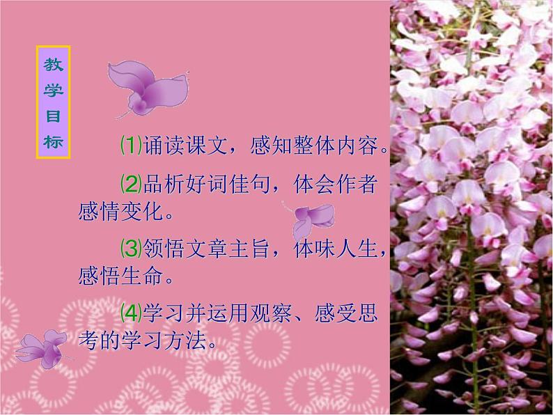 部编版七年级语文下册--18.紫藤萝瀑布（课件1）第2页