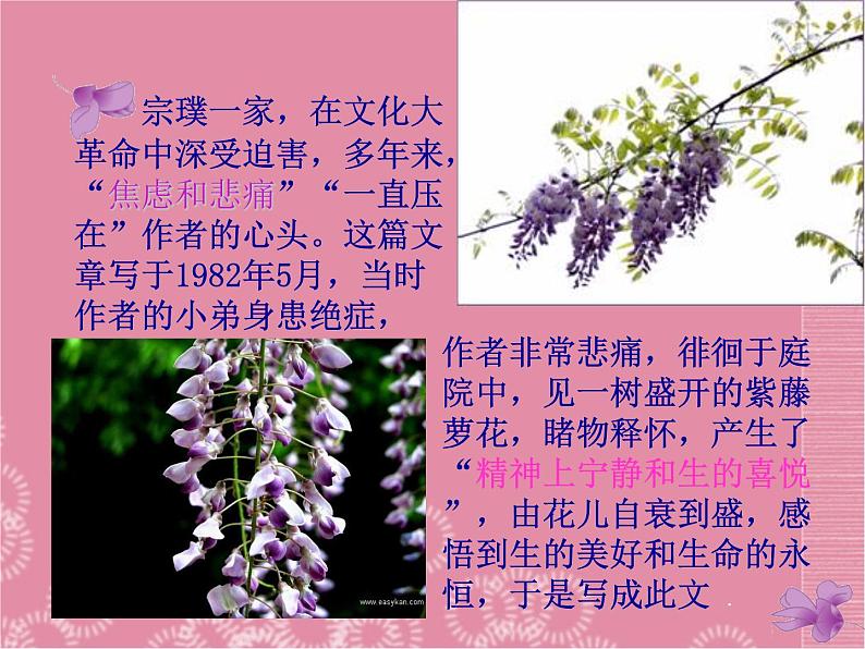 部编版七年级语文下册--18.紫藤萝瀑布（课件1）第4页