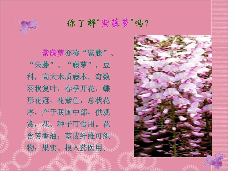 部编版七年级语文下册--18.紫藤萝瀑布（课件1）第5页
