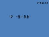 部编版七年级语文下册--19 一棵小桃树（优质课件）