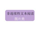 2023年中考语文二轮复习非连续性文本阅读04课件 非连阅读图片类 (含答案)
