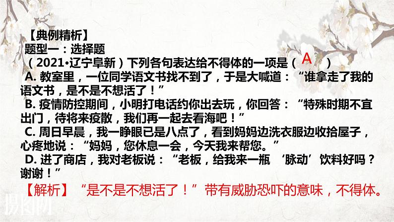 2023年中考语文专题复习：口语表达课件PPT第6页