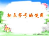 2023年中考语文专题复习-标点符号复习课件