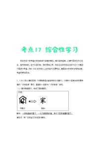 中考语文一轮复习考点练习17 综合性学习 (教师版)
