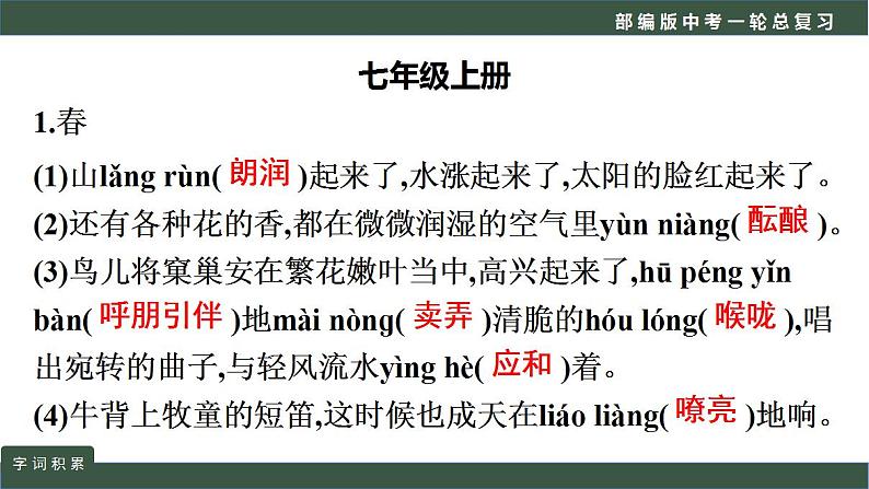 中考语文一轮复习考点讲练测课件专题01  语言文字运用之词语积累 (含答案)08