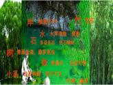 人教部编版八年级语文下册10.小石潭记   课件