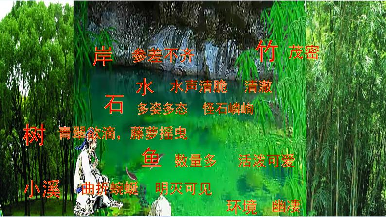 人教部编版八年级语文下册10.小石潭记   课件第5页