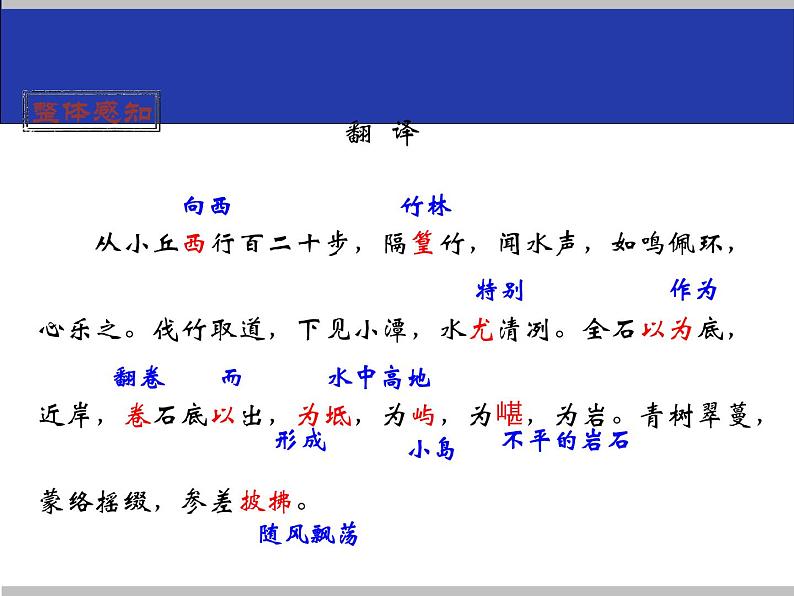 人教部编版八年级语文下册10.小石潭记   课件06