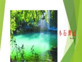 人教部编版八年级语文下册10.小石潭记   课件