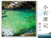 人教部编版八年级语文下册10.小石潭记   课件
