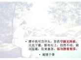 人教部编版八年级语文下册10.小石潭记   课件