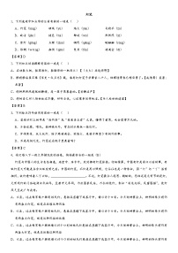 人教部编版八年级下册灯笼同步练习题
