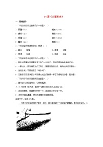 初中人教部编版大雁归来一课一练