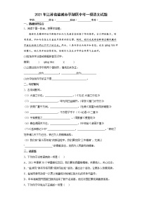 2021年江苏省盐城市亭湖区中考一模语文试题含答案