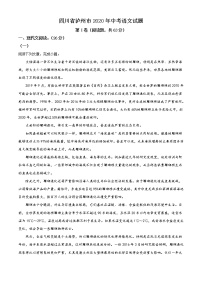 四川省泸州市2020年中考语文试题（教师版）