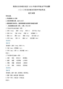 黑龙江齐齐哈尔市、黑河市、大兴安岭地区2020年中考语文试题（教师版）