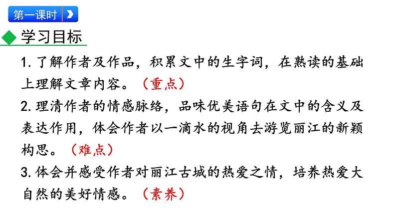 部编版八年级语文下册--20 一滴水经过丽江（精品课件）第5页