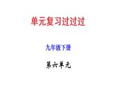 第六单元 【知识梳理】——2022-2023学年部编版语文九年级下册单元综合复习课件PPT