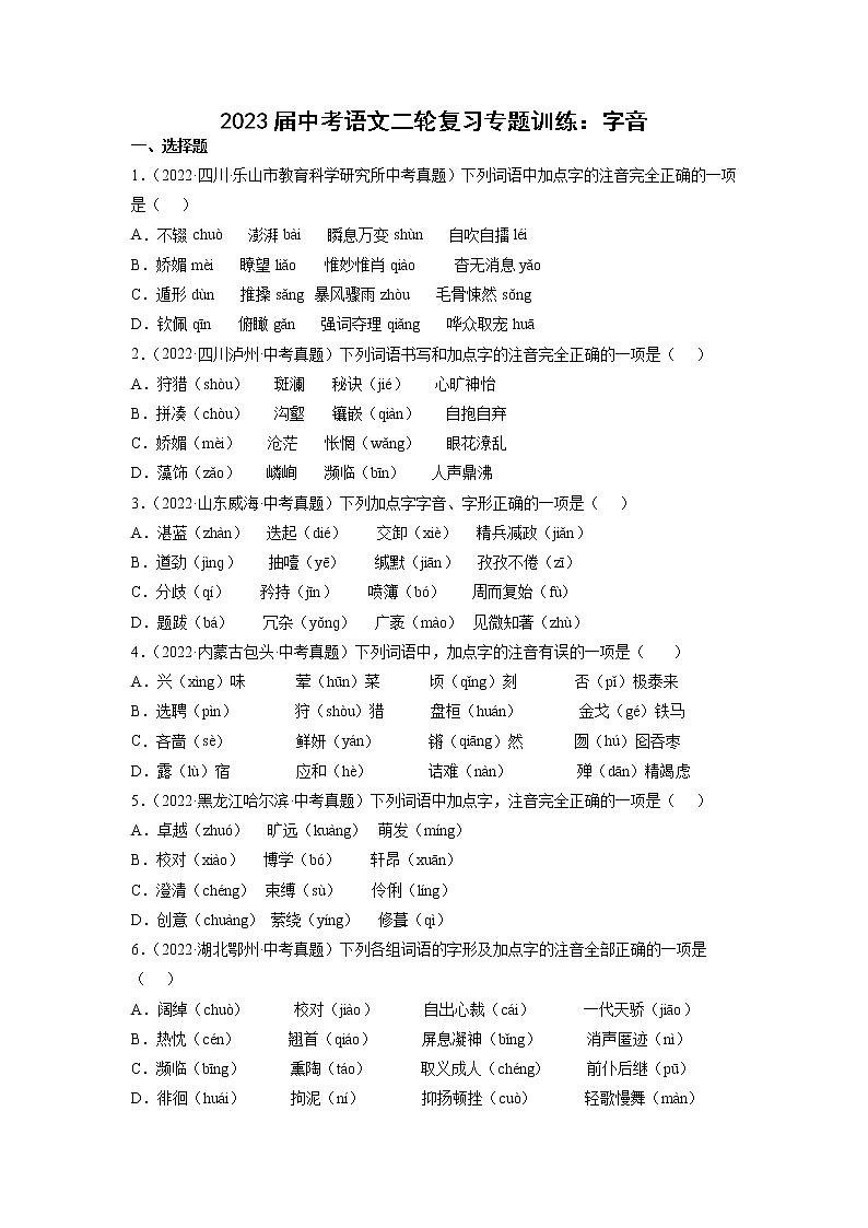 2023届中考语文复习专题01 字音(考点训练)第1页