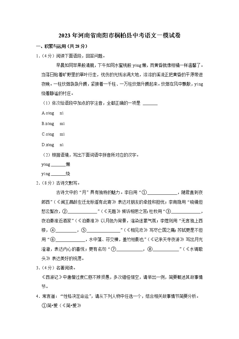 2023年河南省南阳市桐柏县中考语文一模试卷01