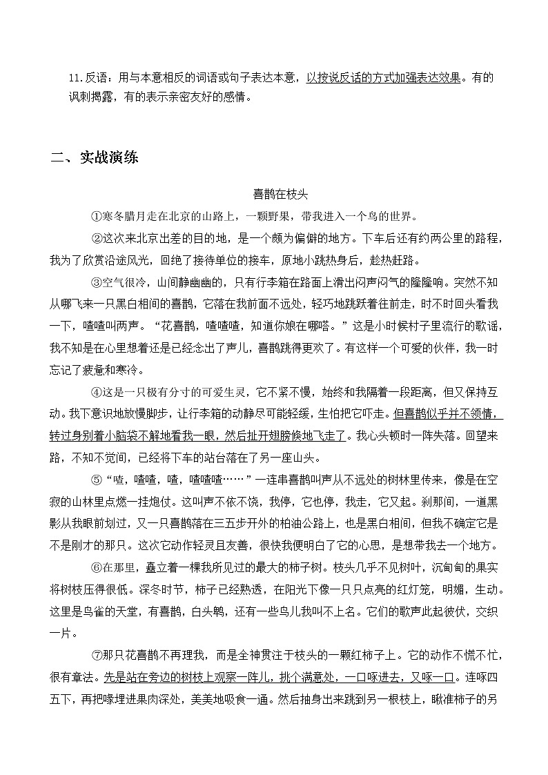 2023年中考语文记叙文阅读考点精讲精练 考点01 修辞手法03