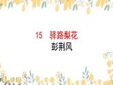第15课 驿路梨花-2022-2023学年七年级语文下册精讲课件