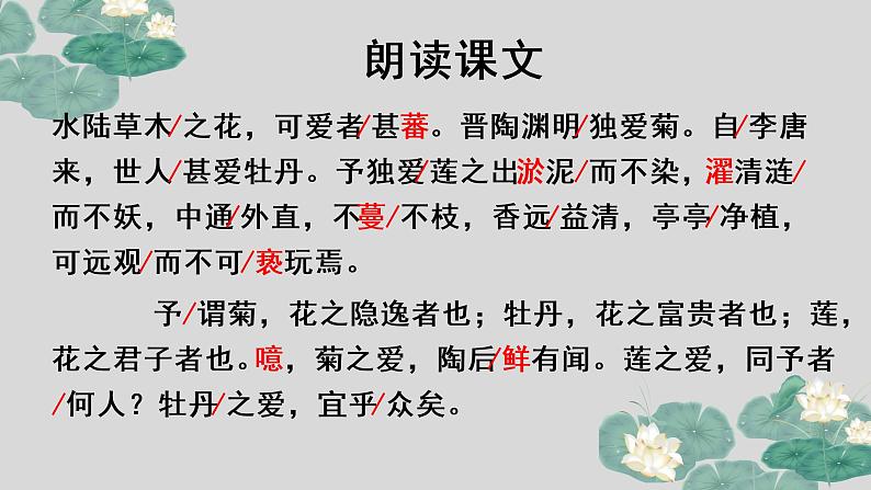 第17课 爱莲说-2022-2023学年七年级语文下册精讲课件08