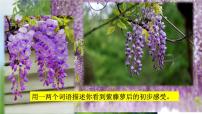 人教部编版七年级下册紫藤萝瀑布优质课课件ppt