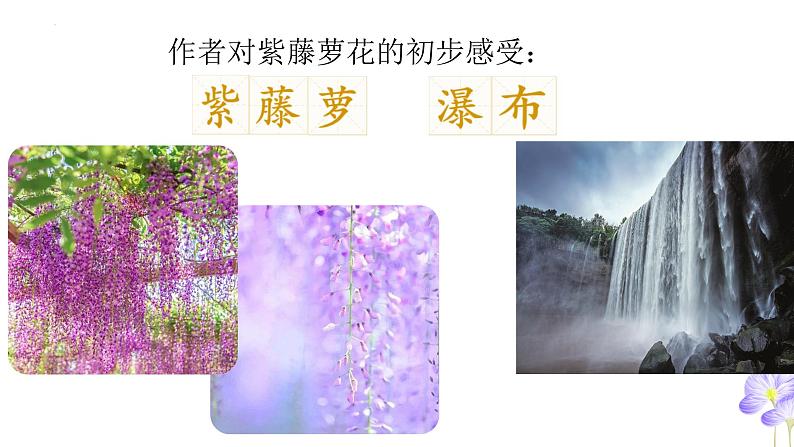第18课《紫藤萝瀑布》课件七年级下册第7页