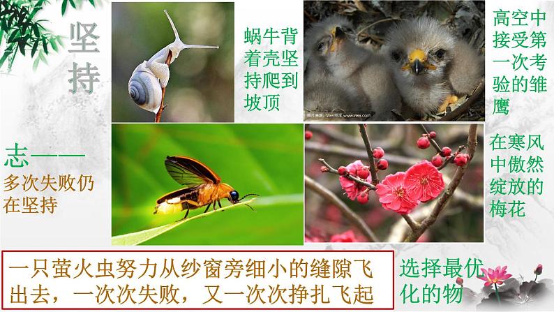 作文托物言志类题目解读课件05